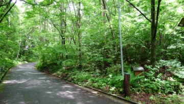 Karuizawa Sengataki Villa area East