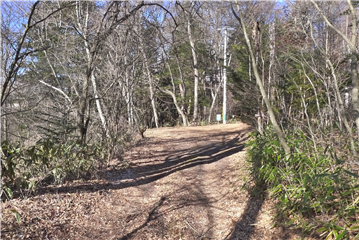 前面道路（北西側を望む）