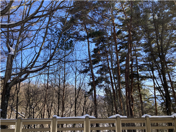 一階テラスより見る景色※冬季