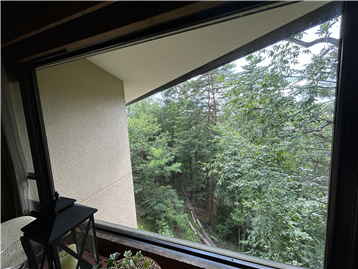 ＬＤＫからの景色