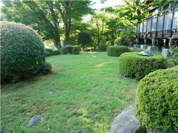 建物前のお庭　