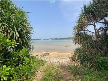 敷地から海まで約３３ｍ