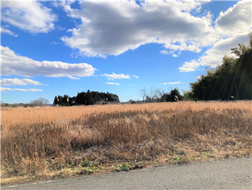 北西側接面道路中央位置から南東方向を撮影