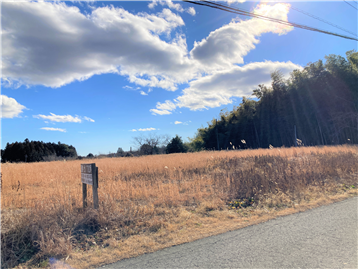 北側接面道路より南方向を撮影