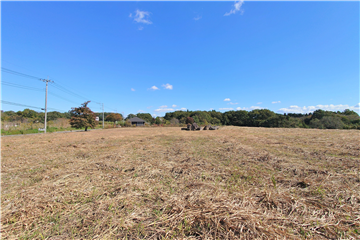 敷地内南西側より北東方向を撮影