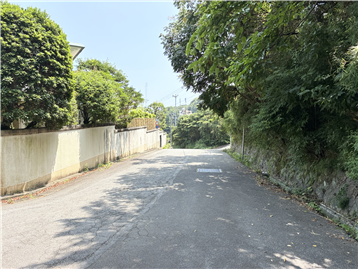 南側前面道路