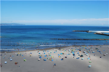 バルコニーから南東方向の前原海岸の眺望（2023年8月）