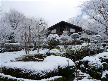 雪化粧したお庭の木々と別荘、敷地内南西側から撮影