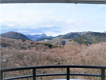 箱根外輪山を代表する金時山を望みます