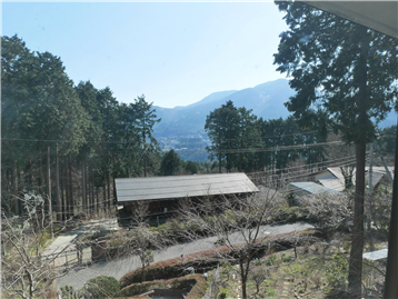 和室３から南西方向に広がる箱根外輪山の眺望