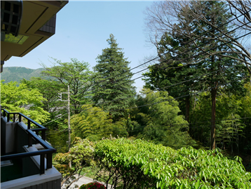 新緑の木々の間に望む箱根外輪山／バルコニーから東方向を撮影