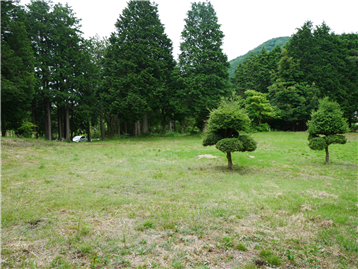 敷地中央から北東方向を撮影