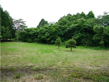 敷地北側から南西方向を撮影