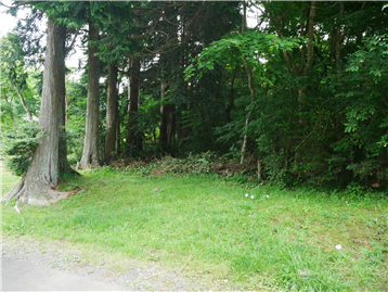 飛び地／前面道路南側から撮影