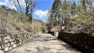 前面道路（北東方向を撮影）