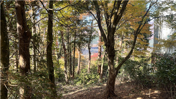 敷地内東側から南西方向を撮影1