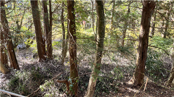 東側から西方向を撮影