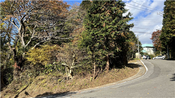 前面道路南側より北方向を撮影