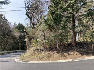 敷地東から南エリアを撮影