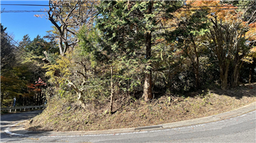 前面道路東側より西方向を撮影