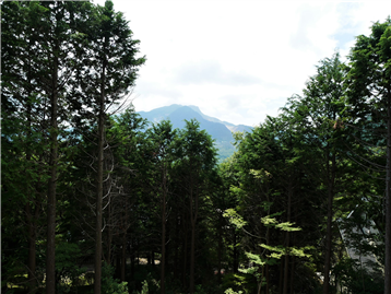 洋室３から望む箱根外輪山に連なる小涌谷