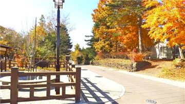 追分宿まで約550ｍ（徒歩約8分）