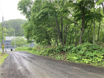 倶知安町ニセコひらふ　ニセコひらふ二条