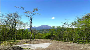 Taiyounomori
