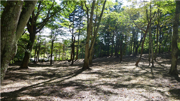 Karuizawa Sengataki Villa Area Nishi-ku