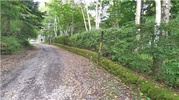 前面道路（北東方向を撮影）