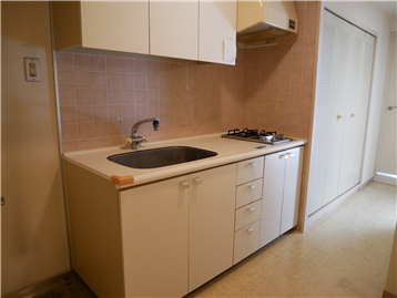 キッチン（奥の扉には洗濯機置き場です）