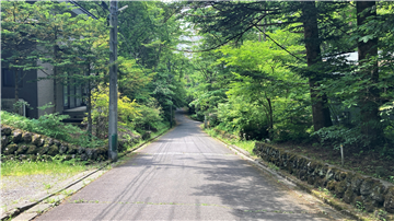 西側前面道路（南方向を撮影）
