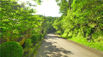 幹線道路から入る８Ｒ棟への進入路（東方向より撮影）