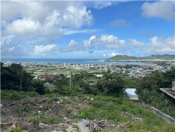 敷地北端付近から東方向を撮影