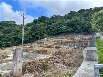 敷地北端付近から南方向を撮影