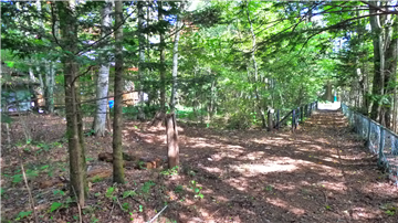 敷地延長の敷地（東側を撮影）