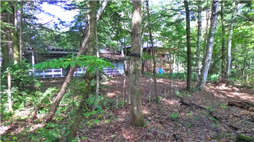 敷地内/古家付（南側から撮影）