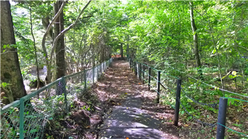 前面道路から見た敷地延長部分（西側を撮影）