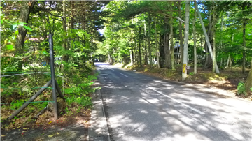 前面道路（北側を望む）