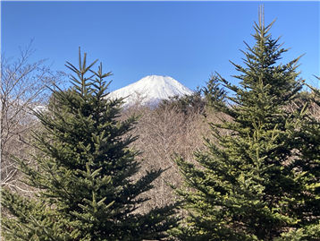 ロイヤルリゾート山中湖Ａ棟