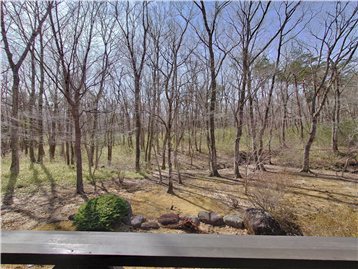 ウッドデッキより南方向の眺望