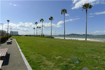 物件西側は海辺のお散歩に適した毛見北側緑地（約350ｍ）