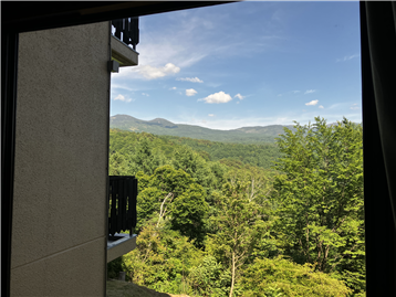 東方向には山々の景色を望めます。