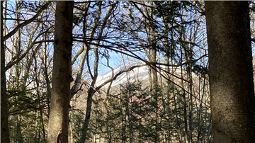 敷地から望む浅間山