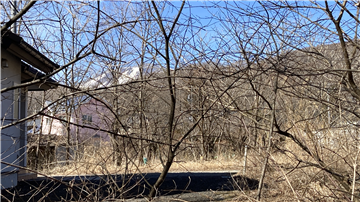 敷地から北方向を撮影