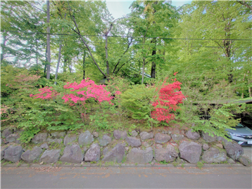 接面道路の南側より敷地内方向