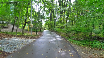 前面道路（北側から撮影）