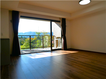 LDK 居室出入口から撮影