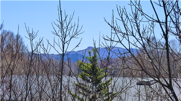 バルコニーから望む山並み（南側方向を撮影）