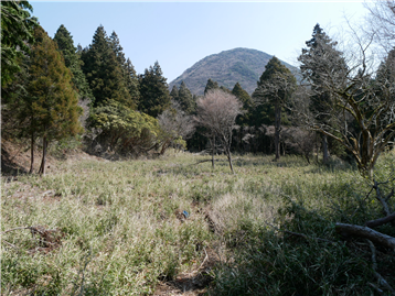 敷地西側から東方向を撮影
